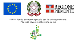FEASR fondo europeo  agricolo per lo sviluppo rurale: l'Europa investe nelle zone rurali PSR 2014 - 2020