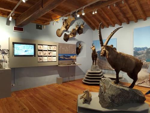 Museo Civico Alpino "Arnald...