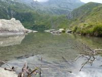 Lago Nero 2007 m